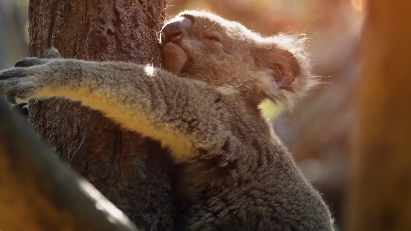 Whatsapp Image 2023 06 20 At 10.21.20