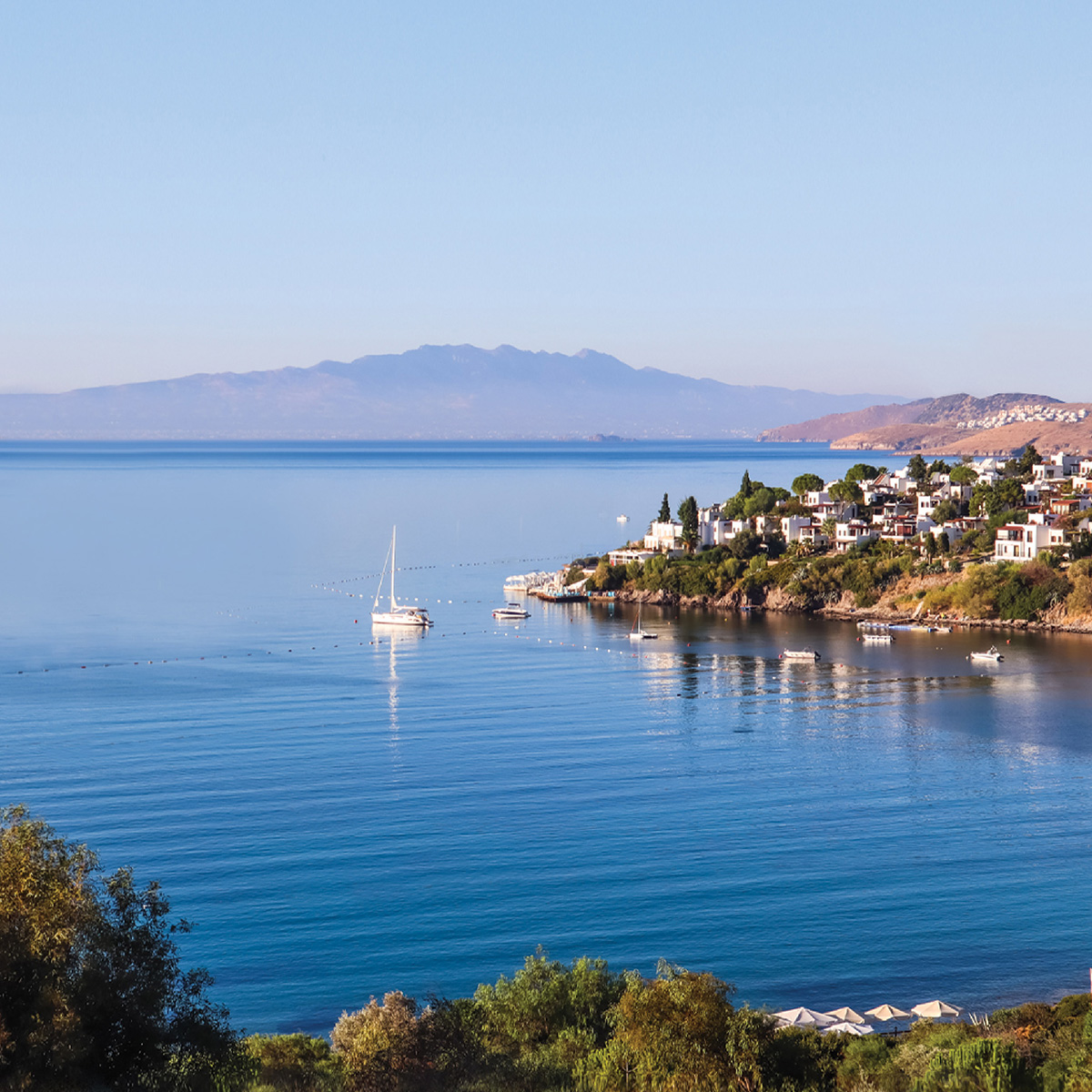 Nef Arsa Nisan Assos Native 1200X1200