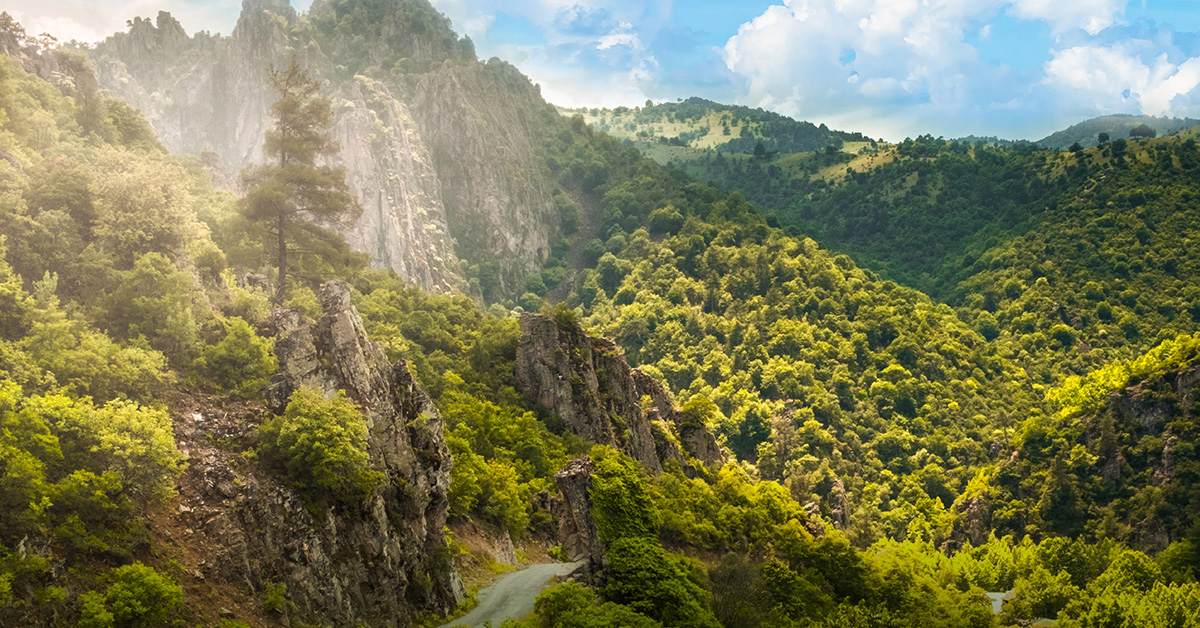 Nef Arsa Bursa Orhaneli 1 Native 1200X628