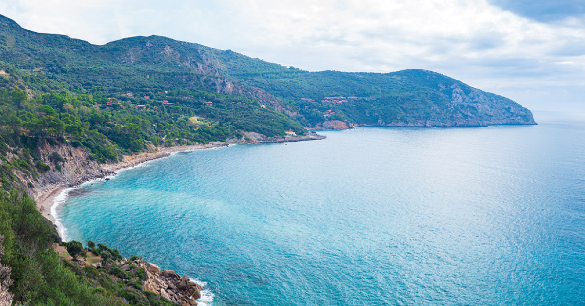 Nef Arsa Nisan Assos 3 Native 1200X628