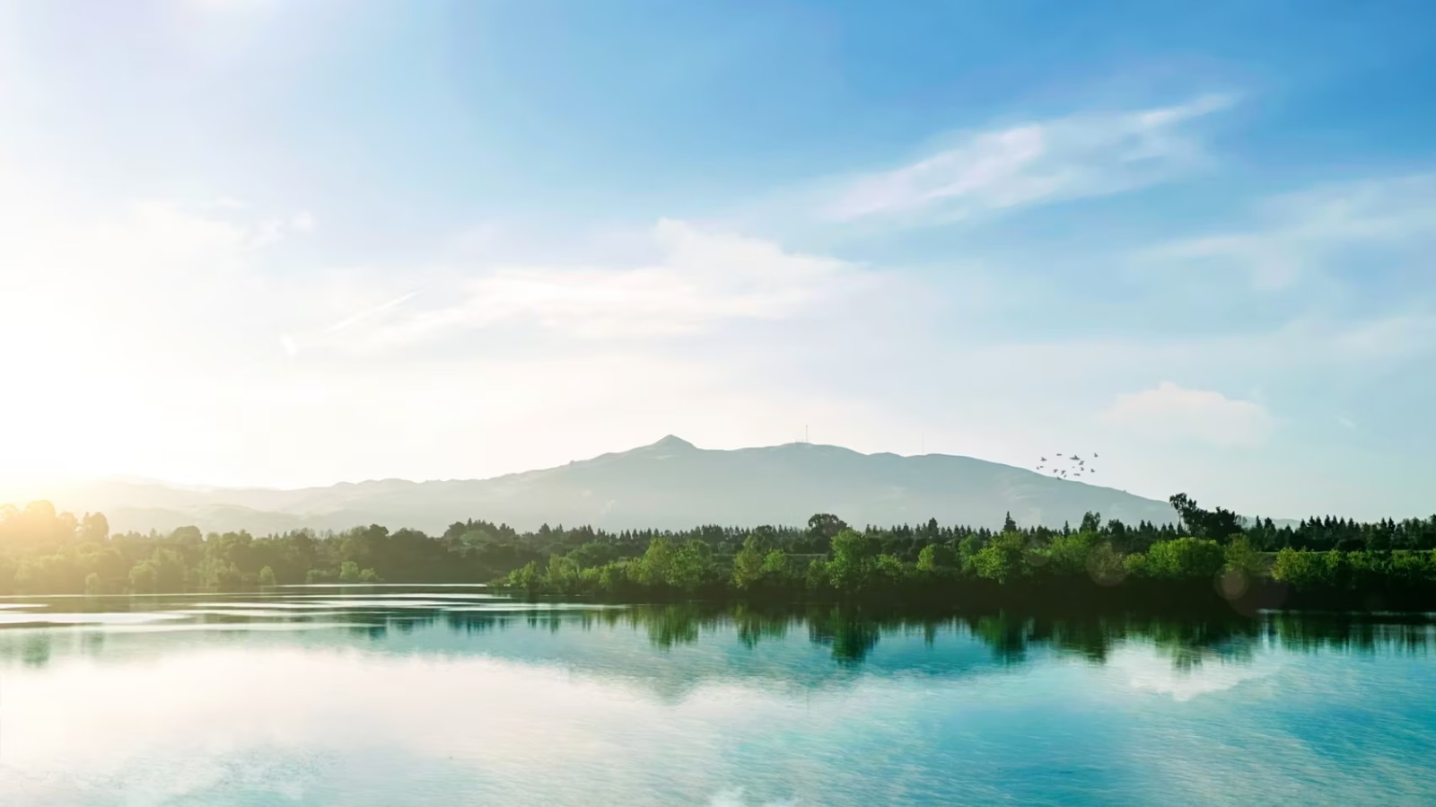 Whatsapp Image 2023 06 20 At 12.10.39